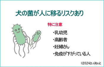 犬に顔を舐めさせるリスク