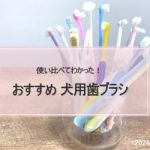 犬用歯ブラシおすすめランキング！実際に使ってレビュー