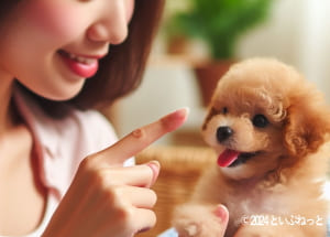 犬に日焼け止めを塗った肌を舐めないようにしつけをしている女性