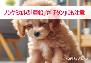 紫外線散乱剤の日焼け止めの犬に危険な成分